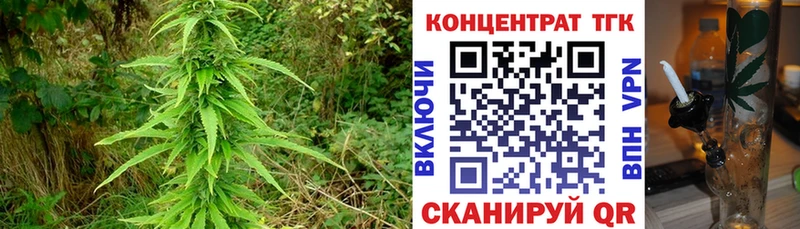 где найти наркотики Павлово Дистиллят ТГК Wax